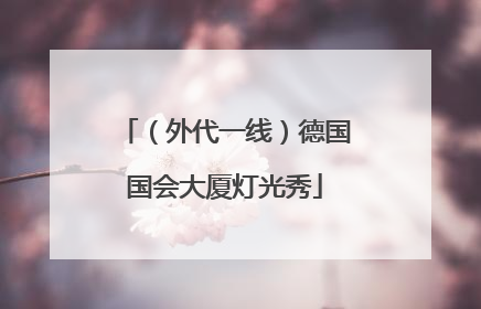 （外代一线）德国国会大厦灯光秀