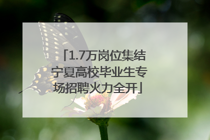 1.7万岗位集结 宁夏高校毕业生专场招聘火力全开