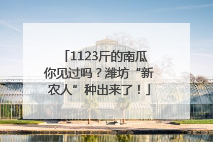 1123斤的南瓜你见过吗？潍坊“新农人”种出来了！
