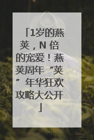 1岁的燕荚，N 倍的宠爱！燕荚周年“荚”年华狂欢攻略大公开