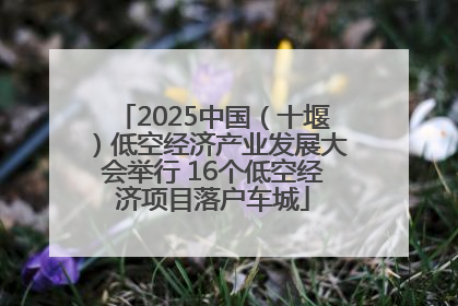 2025中国（十堰）低空经济产业发展大会举行 16个低空经济项目落户车城
