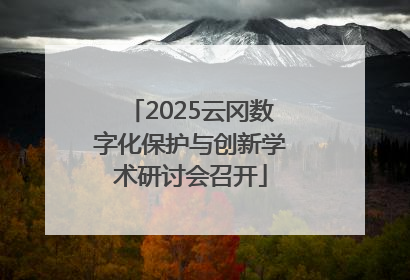 2025云冈数字化保护与创新学术研讨会召开