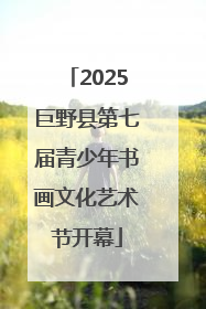 2025巨野县第七届青少年书画文化艺术节开幕