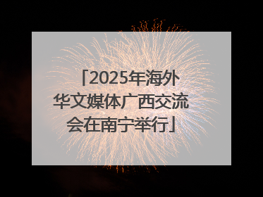 2025年海外华文媒体广西交流会在南宁举行