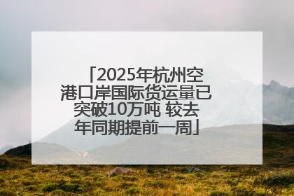 2025年杭州空港口岸国际货运量已突破10万吨 较去年同期提前一周