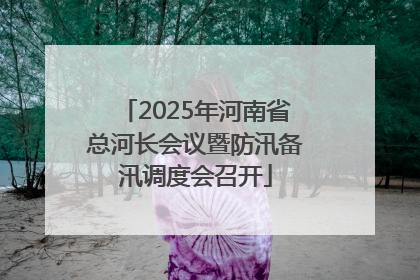 2025年河南省总河长会议暨防汛备汛调度会召开