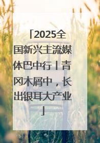 2025全国新兴主流媒体巴中行丨青冈木屑中，长出银耳大产业