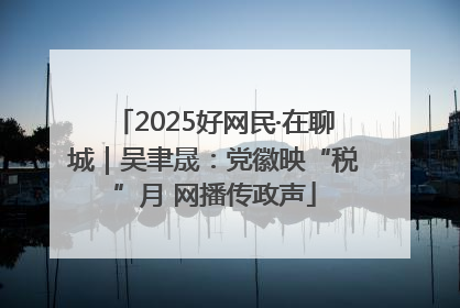 2025好网民·在聊城｜吴聿晟：党徽映“税”月 网播传政声