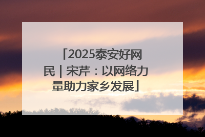 2025泰安好网民｜宋芹：以网络力量助力家乡发展