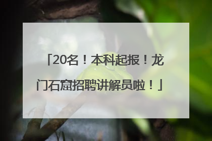 20名！本科起报！龙门石窟招聘讲解员啦！