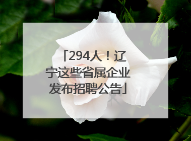 294人！辽宁这些省属企业发布招聘公告
