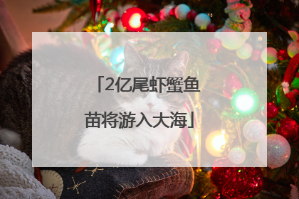 2亿尾虾蟹鱼苗将游入大海