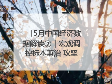 5月中国经济数据解读②｜宏观调控标本兼治 攻坚高质量发展