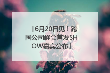 6月20日见！跨国公司峰会首发SHOW嘉宾公布