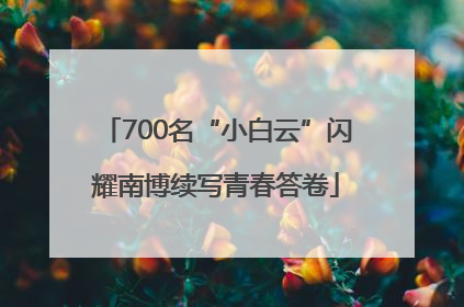 700名“小白云”闪耀南博续写青春答卷