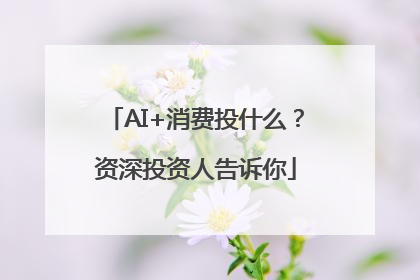 AI+消费投什么？资深投资人告诉你