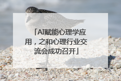 AI赋能心理学应用，之和心理行业交流会成功召开